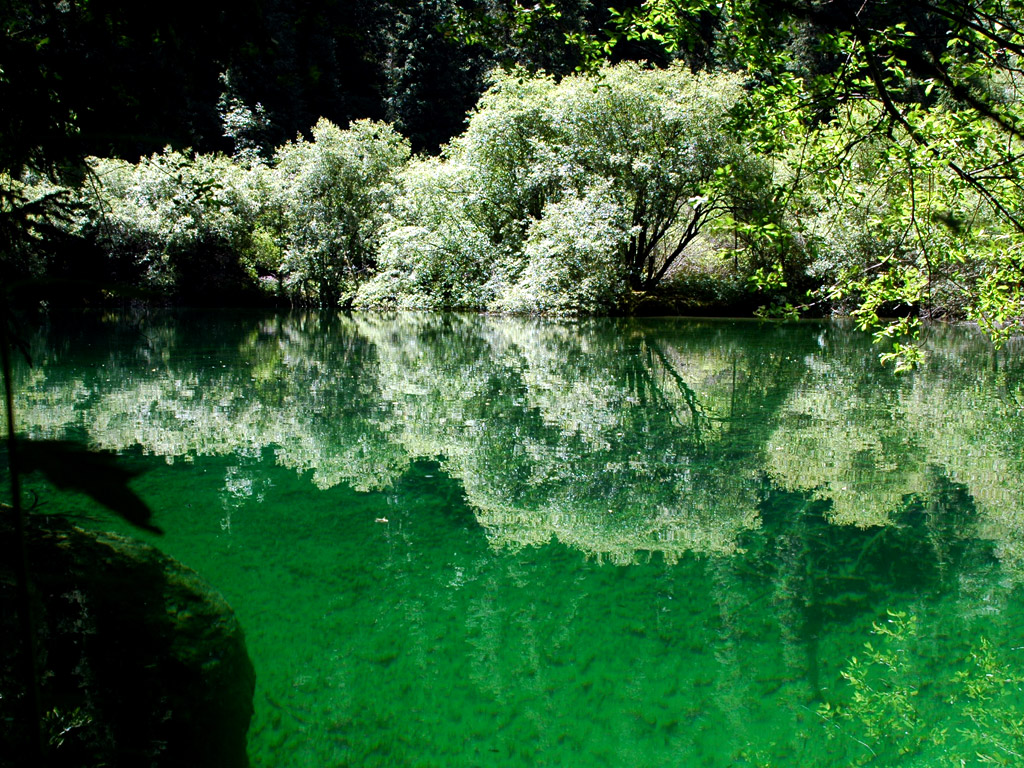 请点击放大图片
