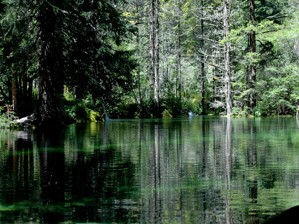 请点击放大图片