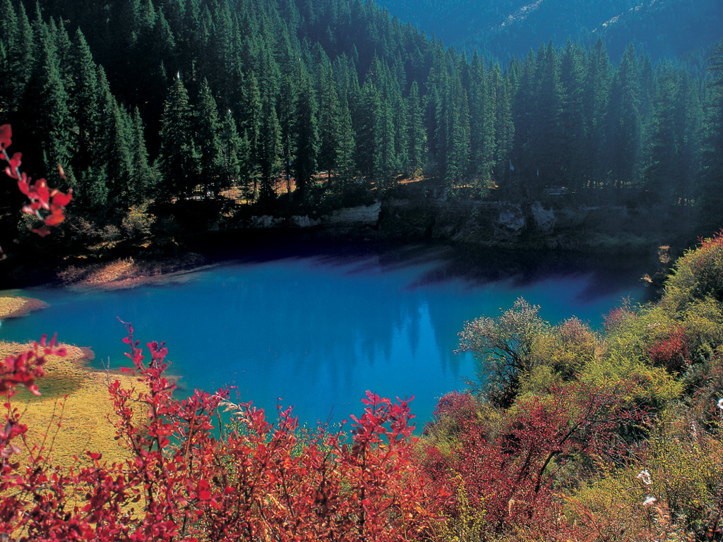 请点击放大图片